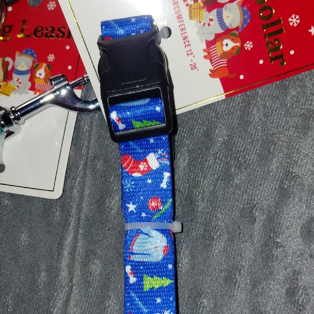 Colorful Dog Accessory Set - Picture 5 of 8